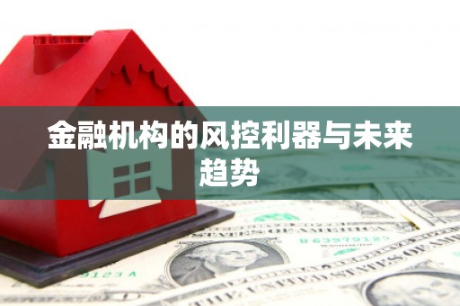 裕安金融机构的风控利器与未来趋势