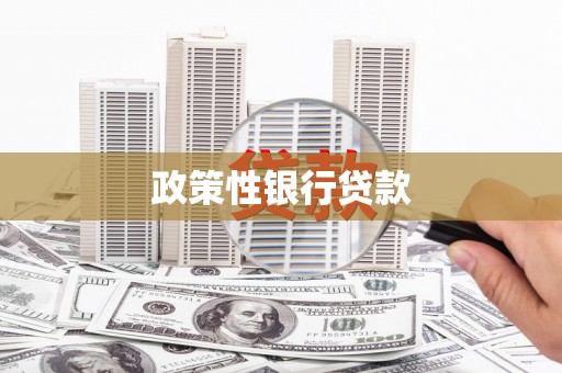 裕安政策性银行贷款