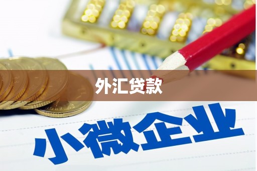 裕安外汇贷款