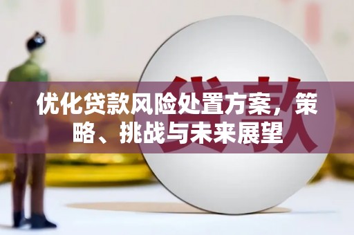 裕安优化贷款风险处置方案，策略、挑战与未来展望