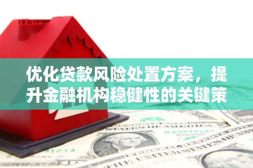 裕安优化贷款风险处置方案，提升金融机构稳健性的关键策略