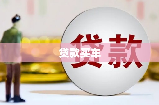 裕安贷款买车