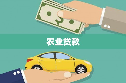 裕安农业贷款