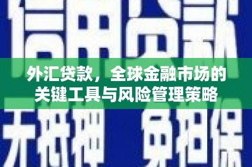 裕安外汇贷款，全球金融市场的关键工具与风险管理策略
