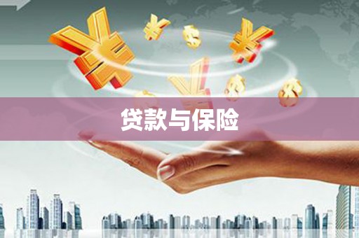 裕安贷款与保险