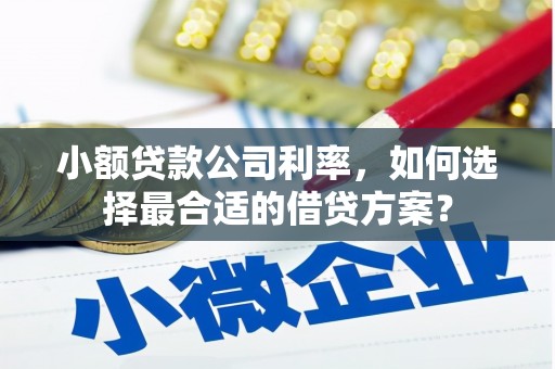 裕安小额贷款公司利率，如何选择最合适的借贷方案？