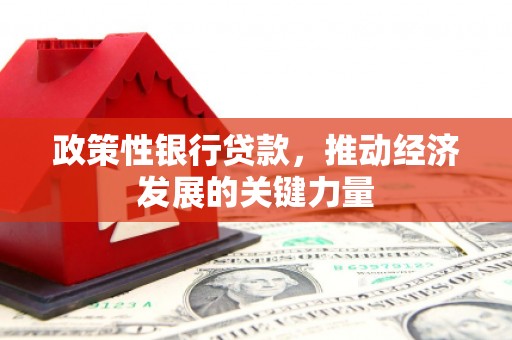 裕安政策性银行贷款，推动经济发展的关键力量