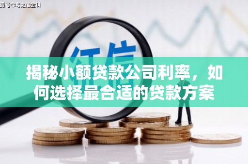 裕安揭秘小额贷款公司利率，如何选择最合适的贷款方案