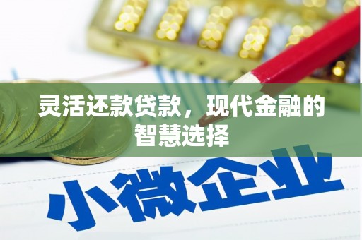 裕安灵活还款贷款，现代金融的智慧选择