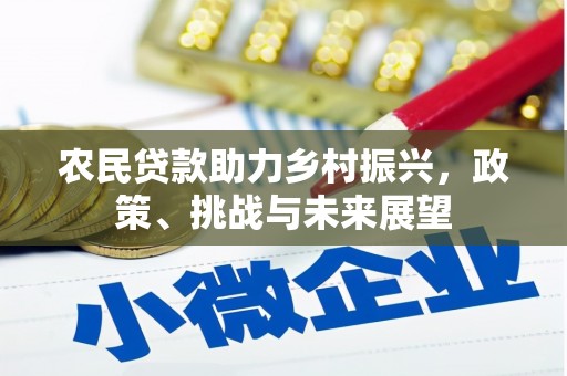 裕安农民贷款助力乡村振兴，政策、挑战与未来展望