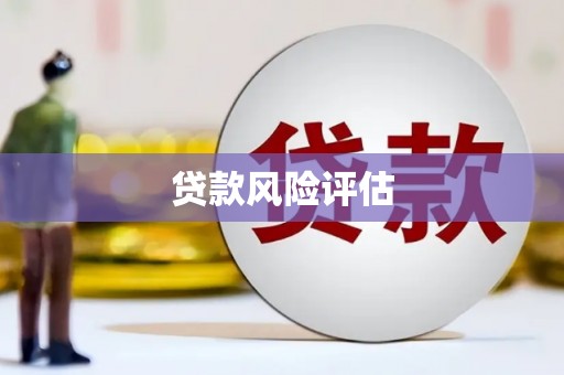 裕安贷款风险评估