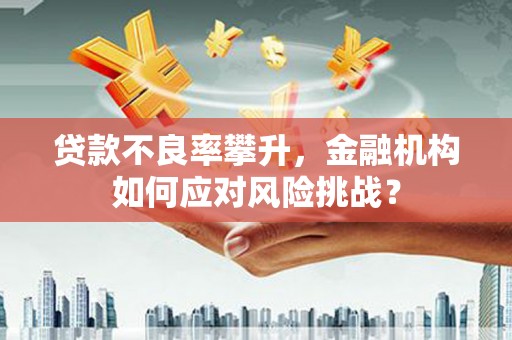 裕安贷款不良率攀升，金融机构如何应对风险挑战？