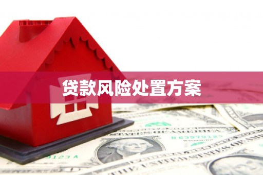 裕安贷款风险处置方案