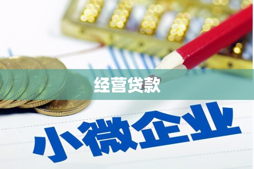 裕安经营贷款